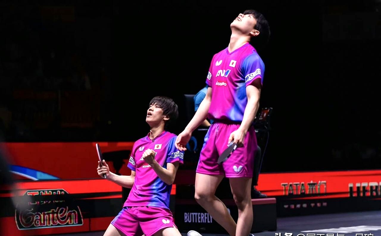 比利时乒乓球队绝地反击波兰乒乓球队，水谷隼统治全场的简单介绍