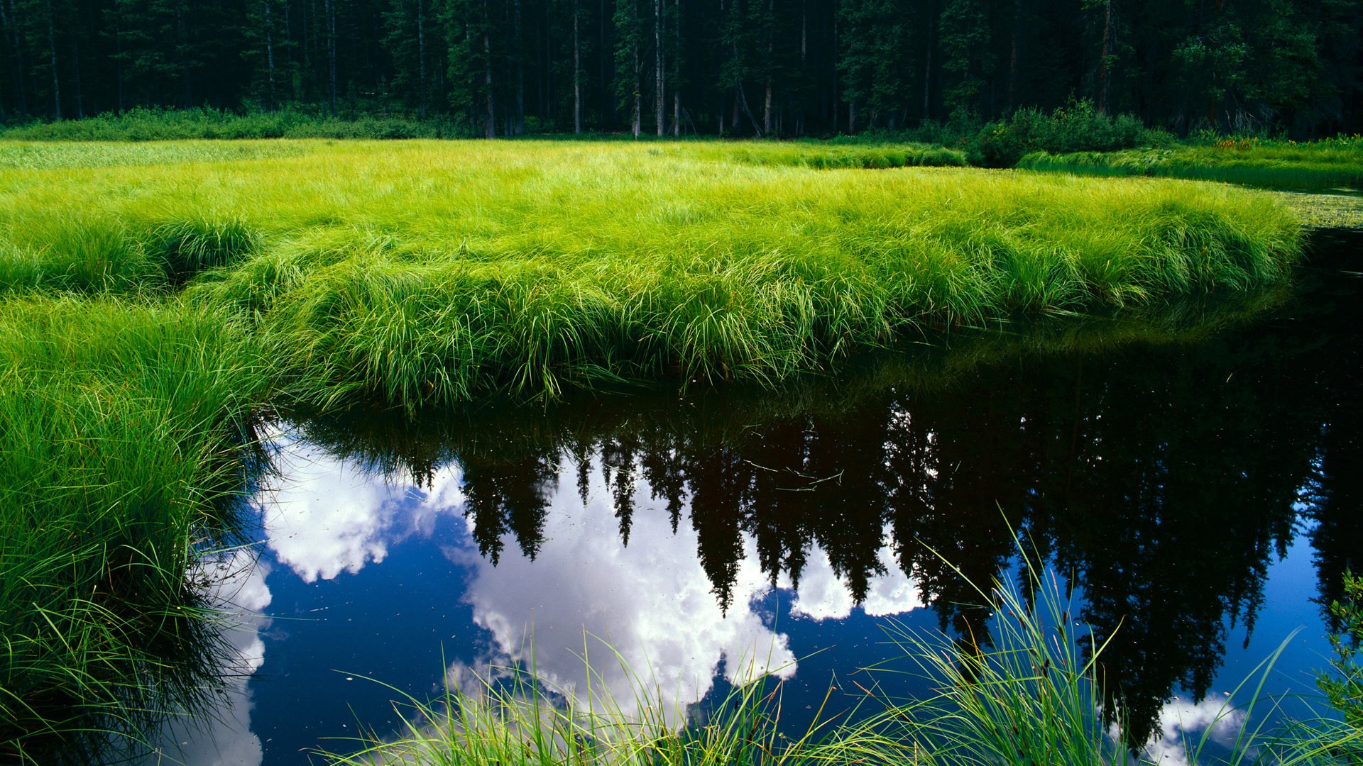 星火与烈焰,从印度队的坚韧到李梓嘉的咆哮,亚洲力量如何重写赛场叙事