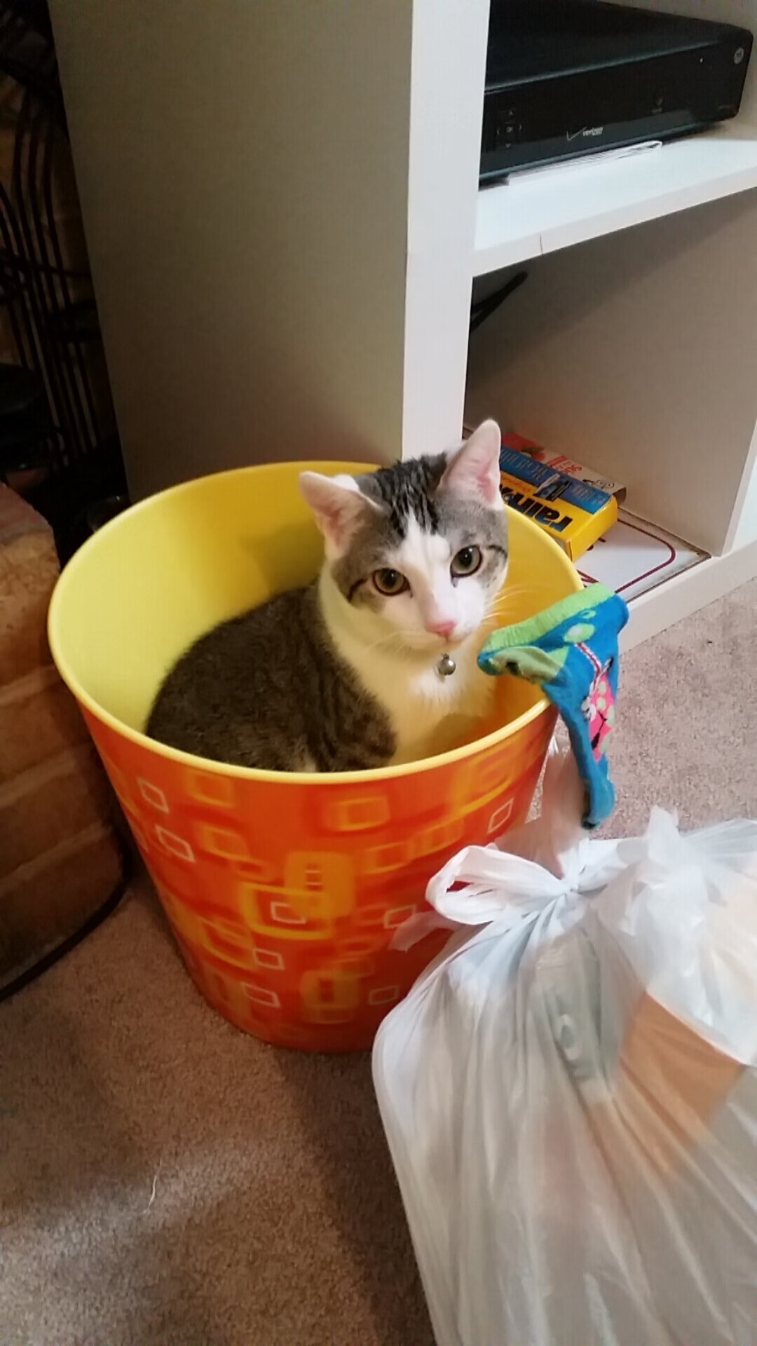 擎天白玉柱!戈贝尔23+18碾碎马刺内线,广厦用一波流终结悬念