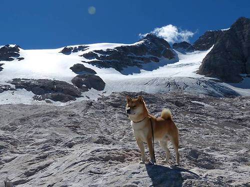 跨界巅峰战，奇才vs广东！拉梅洛34+15+9征服全场，最佳称号毫无悬念