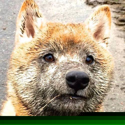 扩展思维，文章标题