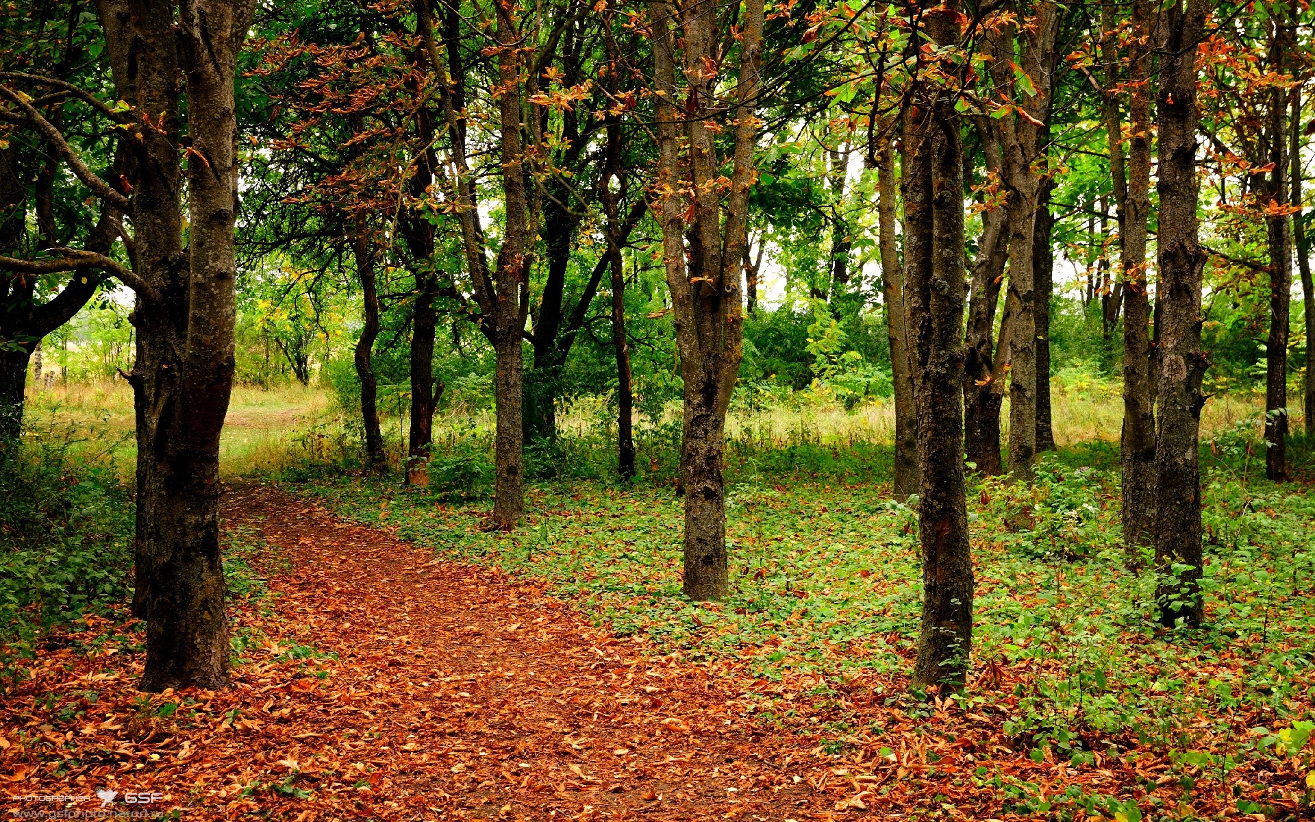 亚洲现象级新星降临!年度焦点之战,李刚仁凭何定义新时代?