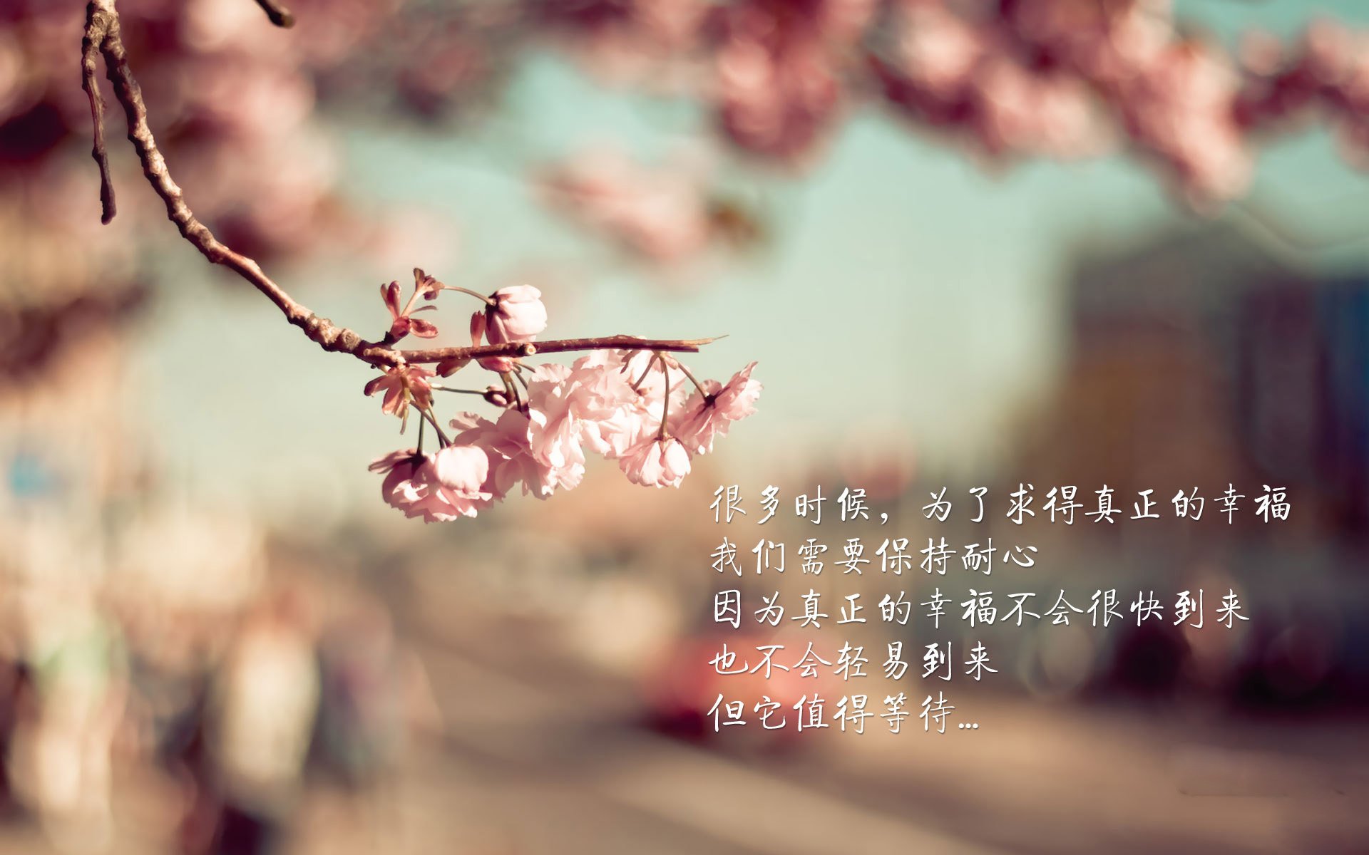 金元与传奇的碰撞,卡塔尔闪电战终结格子军,本泽马降维打击定乾坤