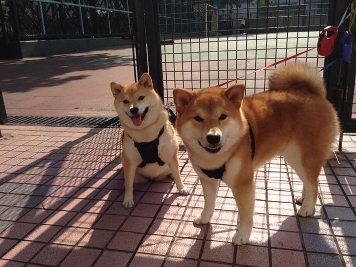 利拉德之夜与雷霆法则，当孤星闪耀与铁壁合围共写胜利方程式