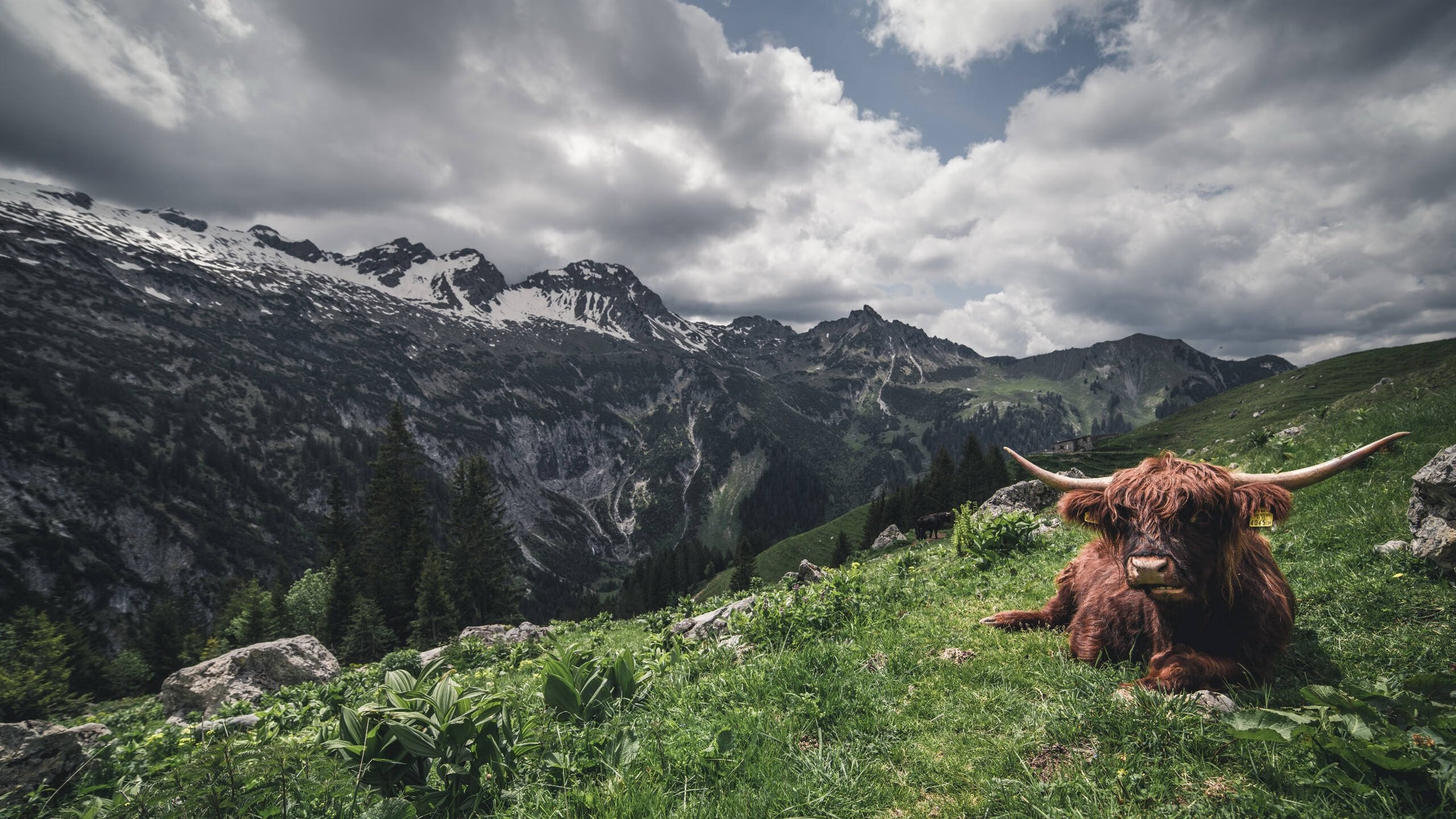 防守的雕塑与逆转的油画，当赖斯锁死时空，塞维利亚涂抹枫叶