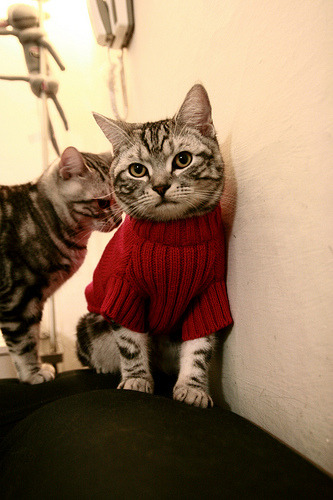 冰与火的对决，伊萨克的技艺之舞与智利的铁血意志