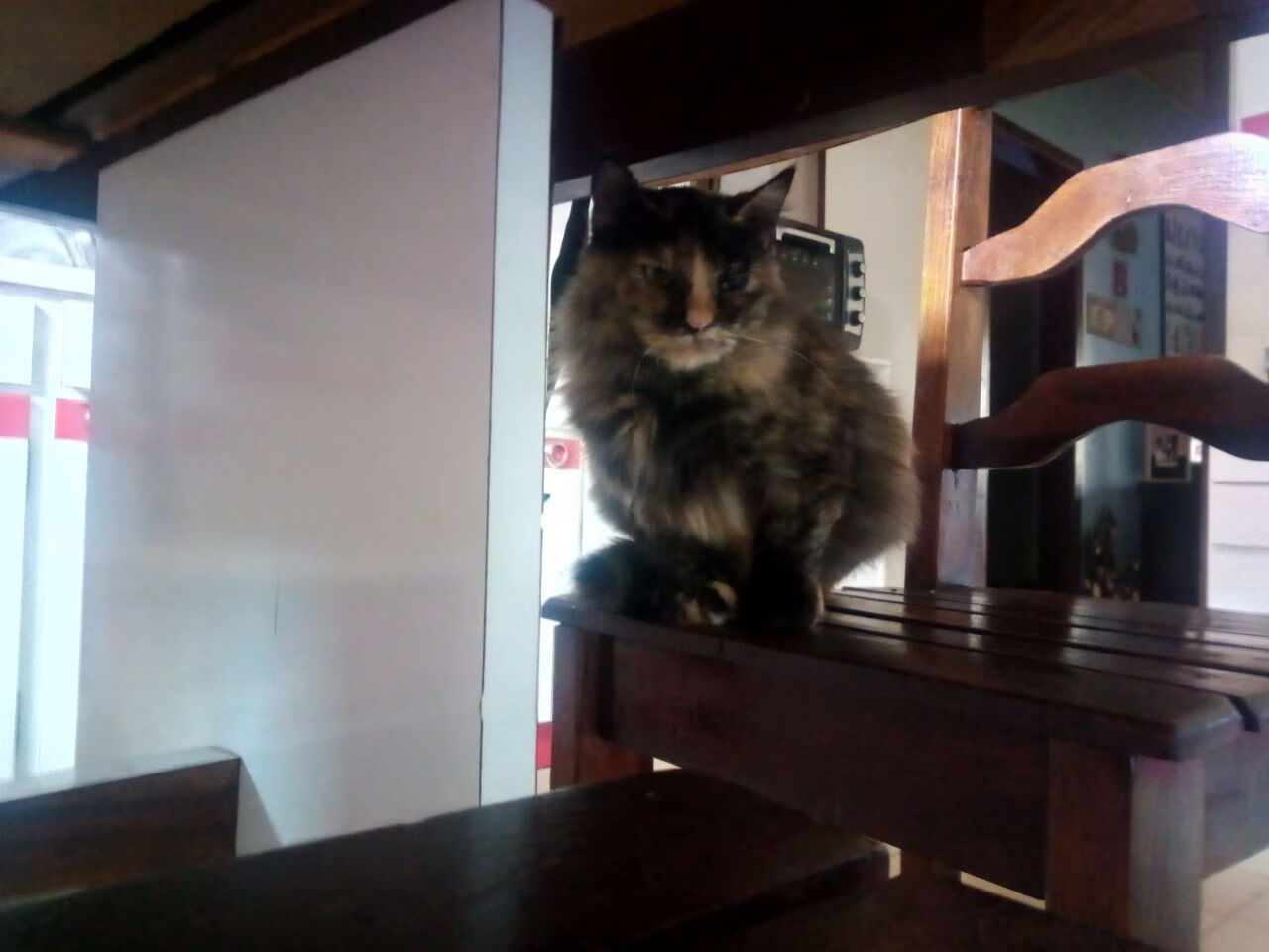 审判日的扳手，当尼克斯的钢铁洪流撞上詹姆斯的时间权杖