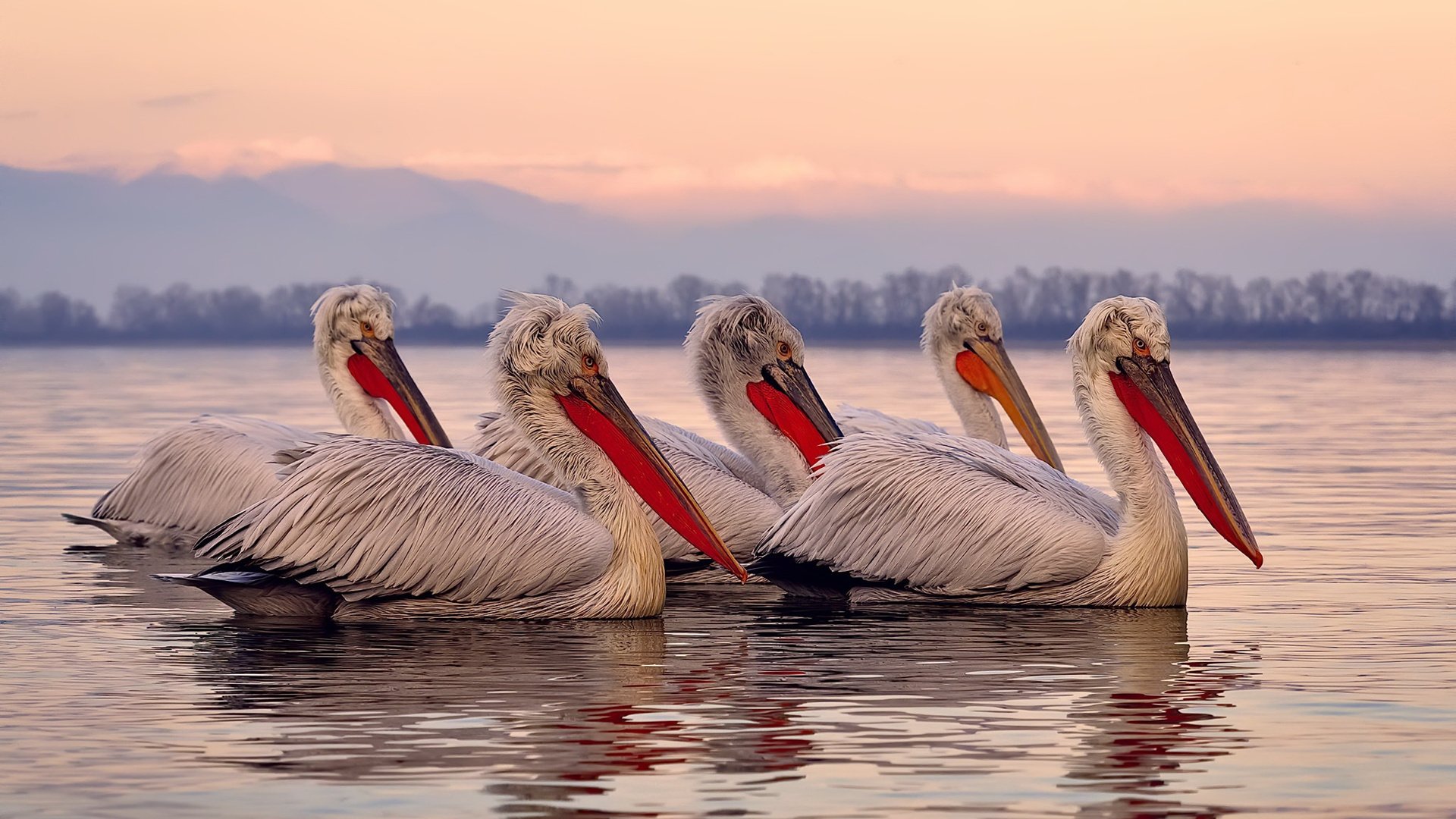 独一无一，奥运周期关键战之夜，奥纳纳完成里程碑