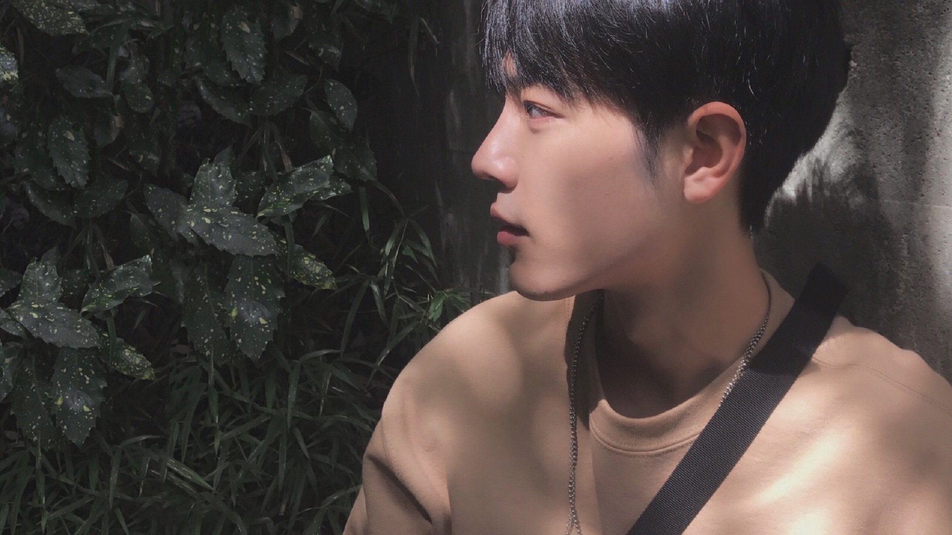 篮球世界的双重奏，国王轻取深圳，小贾伦欧冠决赛称王