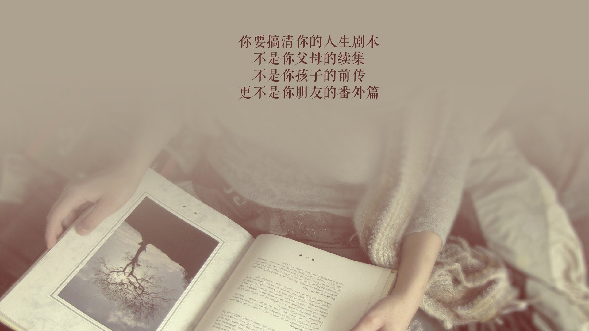 宿命的重写,2026年F组关键战,比利时以横扫之势终结德国荣耀,阿诺德铸就新王座
