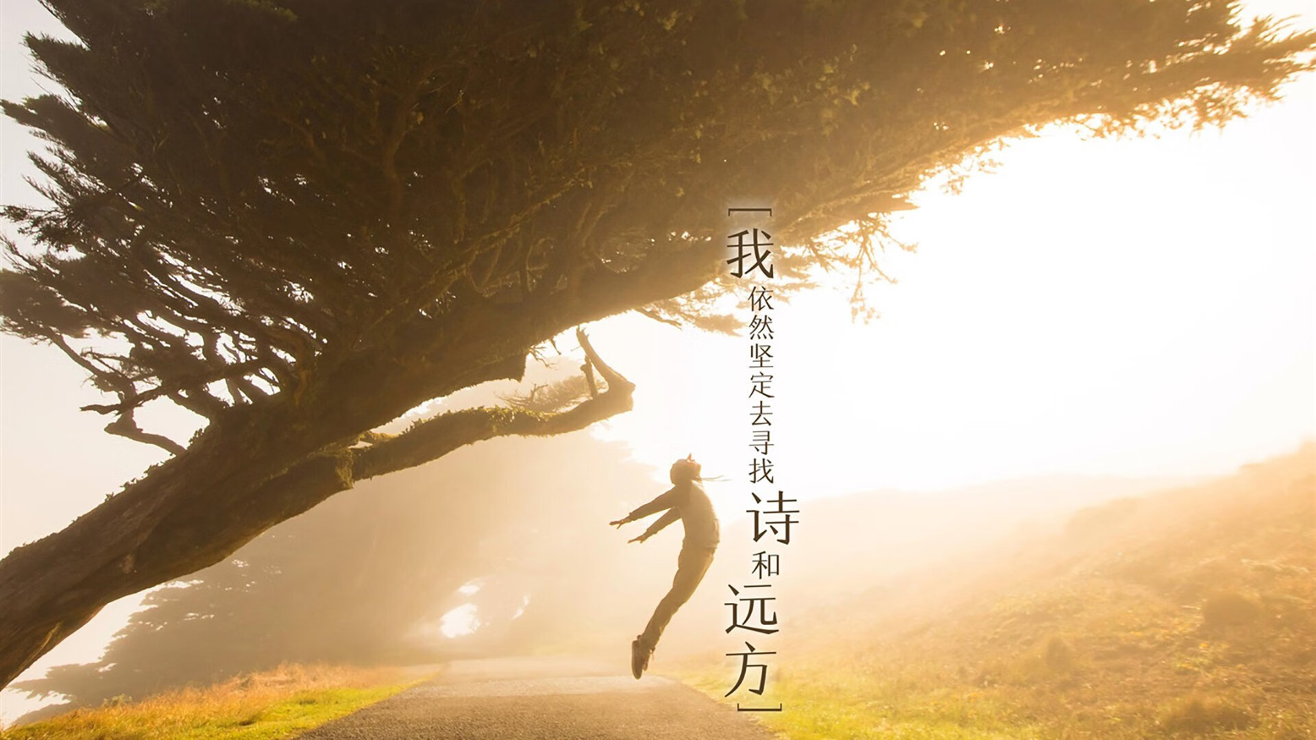 东欧铁骑的致命逆袭,2026世界杯C组,匈牙利如何用防守反击撕碎日本,哈兰德化身孤胆英雄
